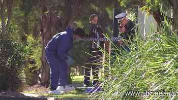 Western Sydney teenager fatally stabbed by partygoer 'defending' girlfriend - ABC News