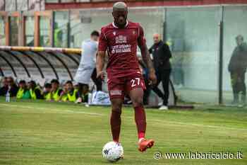 QdP - Il Bari "verde" guarda alla serie A - La Bari Calcio