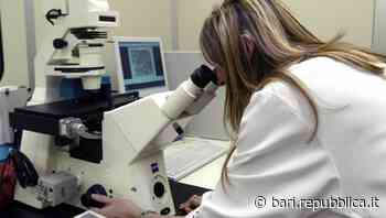 Tumore del colon, lo studio da Bari: le piastrine dei pazienti obesi lo rendono più aggressivo. "Ora approcci… - La Repubblica