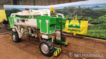 Parte da Bari la sfida al caro energia dell'agricoltura 4.0: "Con robot, droni e software rivoluzione digital… - La Repubblica