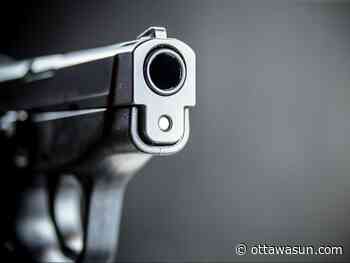 Letter to the editor: Gun owners bullied for votes - Ottawa Sun