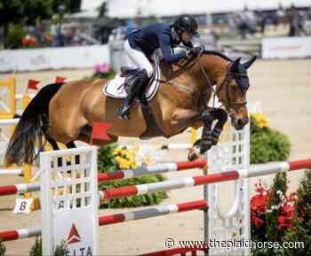 Molly Ashe Cawley and Berdien Accelerate to Victory in the Delta Air Lines FEI 4* Two Phase Stake in Upperv... - The Plaid Horse