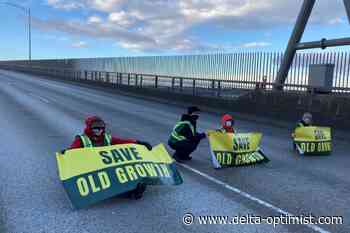Group floats class-action suit to clear out B.C. old-growth blockaders - Delta Optimist