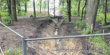 Kritik an der Stadt Waltrop: Bauarbeiten schädigen die Umwelt - Dattelner Morgenpost