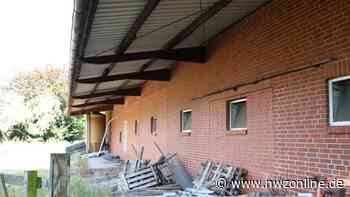 Schweine Schicksal in Garrel überlassen: Strafbefehl beantragt - Nordwest-Zeitung