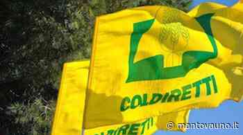 Coldiretti Giovani, domenica a Cremona si parla di Unione Europea e futuro dell'agricoltura - Mantovauno.it