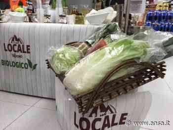 A Trieste al via Bioest, fiera prodotti naturali e biologici - Altre News - Nuova Europa - Agenzia ANSA