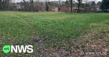 Plannen voor revalidatiecentrum in Lummen aangepast na protest van buurt en jeugdverenigingen - VRT NWS