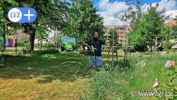 Urban Gardening: Ein Stadtgarten in Eilenburg-Ost sucht Gärtner - Leipziger Volkszeitung