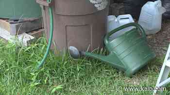 Water conservation for the at-home gardener - KALB