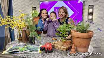 Master Gardener Carrie Petty shares summer herb gardening tips - WISH TV Indianapolis, IN
