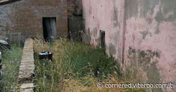 Viterbo, degrado a Civita Castellana. Proteste per l'erba alta nel parcheggio della Ghiacciaia - Corriere di Viterbo