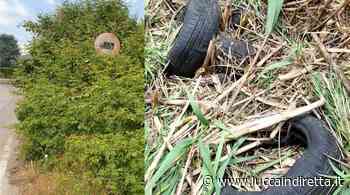 Zappia (Lega): "A Marlia erba alta e discarica di pneumatici" - Luccaindiretta - LuccaInDiretta