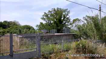 Potabilizzatore di Strada Fosso Paradiso: "Ricoperto da erba alta e vegetazione, l'Aca deve intervenire" - ChietiToday