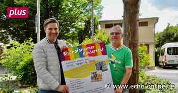 Bischofsheim feiert Kinderfest - Echo Online