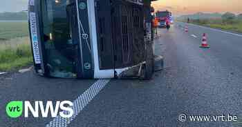 18 ton vis in gekantelde vrachtwagen op E40 in Middelkerke: "We halen de vis er met onze handen uit" - VRT NWS