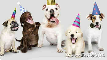 Domenica 12 giugno a Crotone la giornata del cane dedicata al dottor Tedesco - Il Crotonese