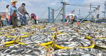 Streit über Patente und Fischerei bei WTO-Konferenz