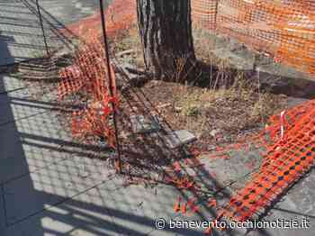 Benevento, incendio a tre recinzioni utilizzate per cantierare l’area dei pini - L'Occhio di Benevento