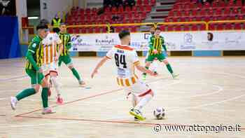 Benevento 5, Brignola: "Felicissimo per questo rinnovo" - Ottopagine