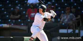 Yankees Elijah Dunham turns on power in two homer game - MLB.com