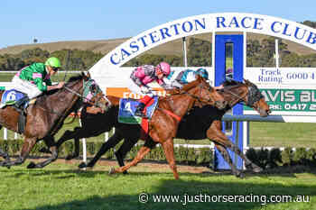 12/6/2022 Horse Racing Tips and Best Bets – Casterton, Apsley Cup day - Just Horse Racing