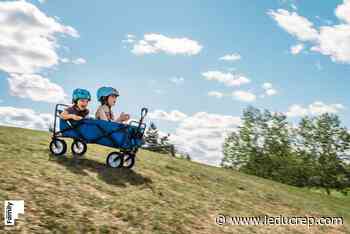 Local photographer recognized - Leduc Representative