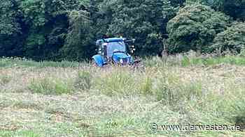 Essen: Toter Mann auf Feld entdeckt – Bauer macht grausigen Fund - DER WESTEN