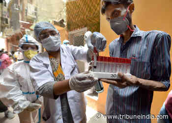 India logs 8,582 new coronavirus infections; active cases rise to 44,513 - The Tribune India