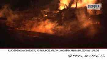 Rischio incendi boschivi, ad Agropoli arriva l'ordinanza per la pulizia dei terreni - Uno Tv Web