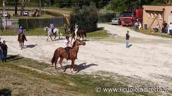Bandiere delle contrade esposte e fiera: Fucecchio si prepara alla settimana del Palio - IlCuoioInDiretta - IlCuoioInDiretta