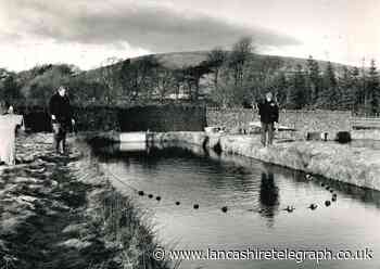 Trout fishing in the Ribble Valley the easy way