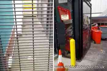 Video of rat 'infestation' near High Street, Watford