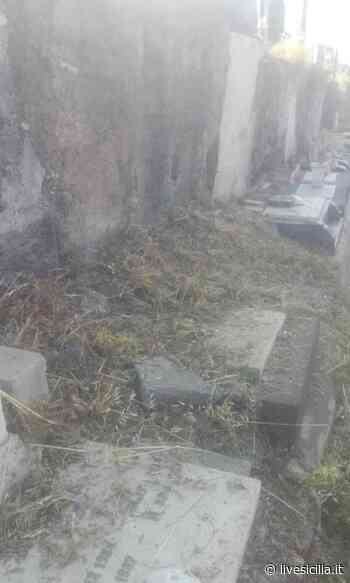 Catania, cimitero invaso dalle sterpaglie FOTO - Livesicilia.it