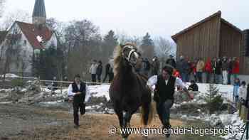 Wieder kein Pferdemarkt in Gaildorf - Gmünder Tagespost
