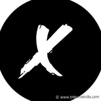 xInvestor On What You Can Learn From The Recent Cryptocurrency Disaster - The Tribune India