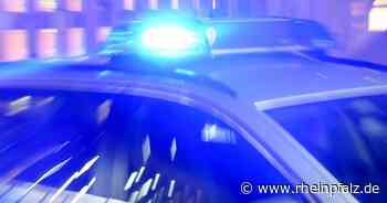 Drei Polizisten verletzt: Tasereinsatz stoppt Angreifer - Edenkoben - Rheinpfalz.de