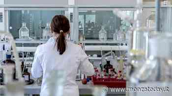 Vaiolo delle scimmie, com'è la situazione a Monza e in Brianza e in Lombardia - MonzaToday