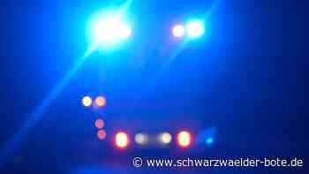 Segelflieger stürzt ab: 55-Jährigem Pilot missglückt Notlandung bei Bad Liebenzell