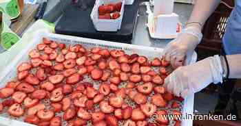 Britische Bauern fordern mehr Visa für Saisonarbeiter