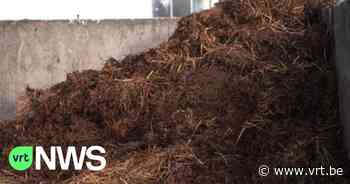 Beroepsprocedure tegen veebedrijf in Maldegem: "Dagelijkse mestaanvoer schadelijk voor milieu" - VRT NWS