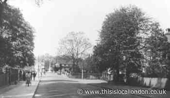 How Thomas Willingale saved lopping rights from Loughton pub