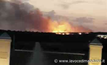 Vasto incendio brucia ettari di macchia mediterranea verso la costa manduriana - La Voce di Manduria