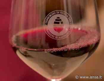 Primitivo di Manduria, ritirata modifica disciplinare - Agenzia ANSA