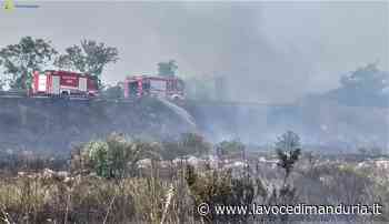 Manduria: Fiamme Torre Guaceto, brucia la macchia mediterranea - La Voce di Manduria