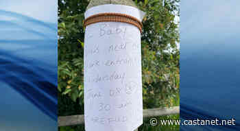 Bear alert at Thomas Hayes Ecological Park in Armstrong - Vernon News - Castanet.net