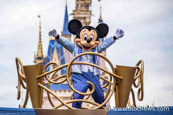 The Disney bride and groom acted terribly. Don't blame all Disney adults.