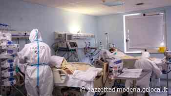 Modena. La Terapia intensiva è Covid free dopo undici mesi - La Gazzetta di Modena