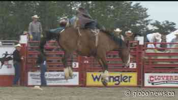 Potential Langley Township rodeo draws mixed reviews - Global News