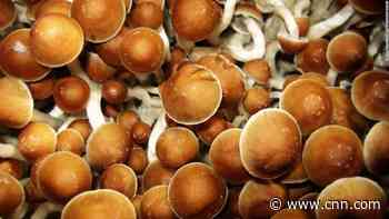 Psychedelic mushrooms have hit the big time. Here's why you should care